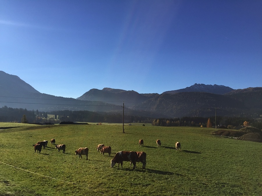 Neuhofen Dachsteintour